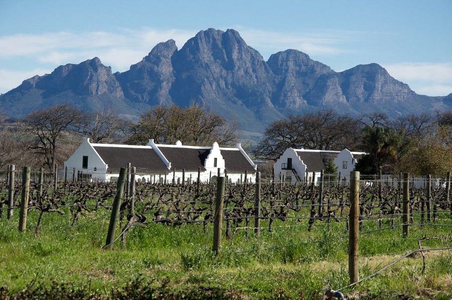 Cape Noir into wine country tour scenery